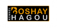 boshay-p4m6eunfmul0zyba1r084pc7tf33r5llwk5xm57c2w